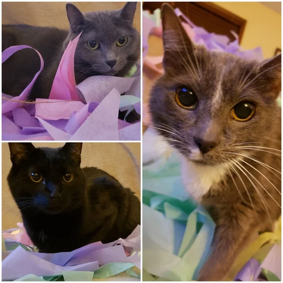 I Miss You So Much - Picture 6 of 15